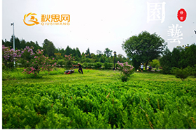 棗莊公墓網(wǎng)|公園式生態(tài)景觀(guān)陵園每年不定期園藝修剪
