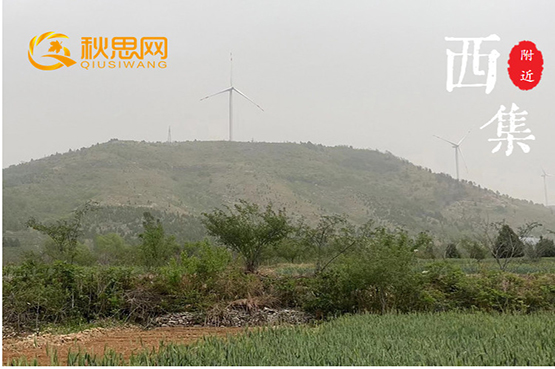 秋思網(wǎng)|棗莊公墓網(wǎng)|山亭區(qū)|西集鎮(zhèn)|私人林地